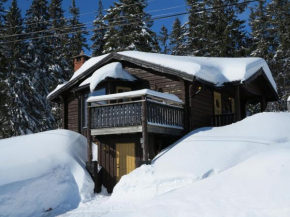 Chalet Korpstigen Renen by Interhome